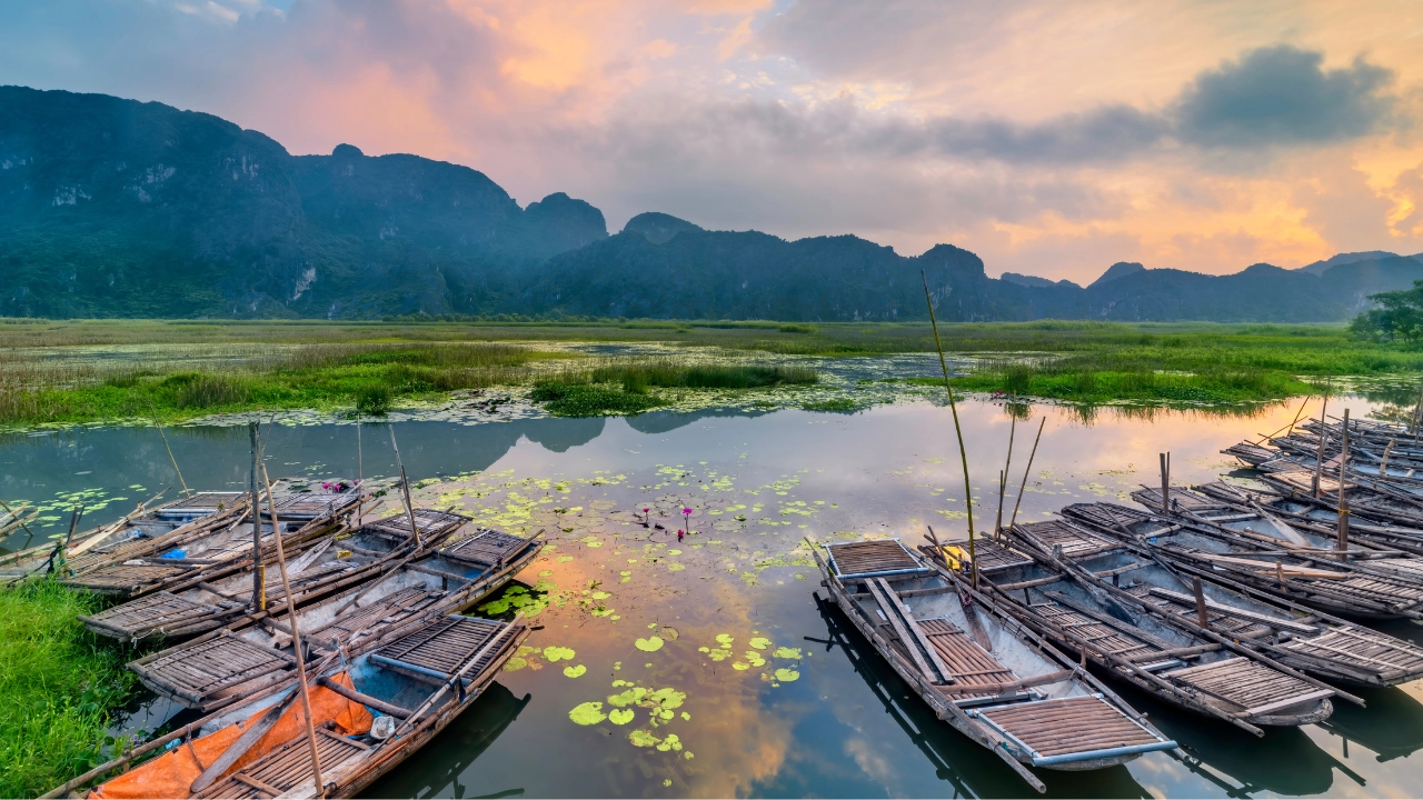 Van Long wetland nature reserve