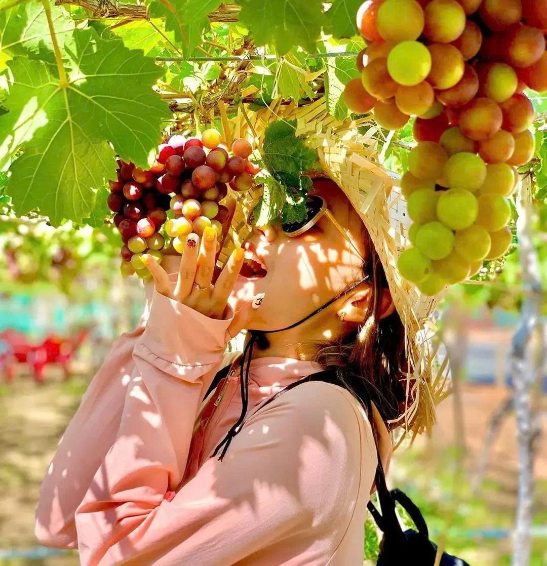 Day Tour | Ninh Thuan Day Tour (Hang Rai – Vinh Hy – Sheep Field – Vineyard)