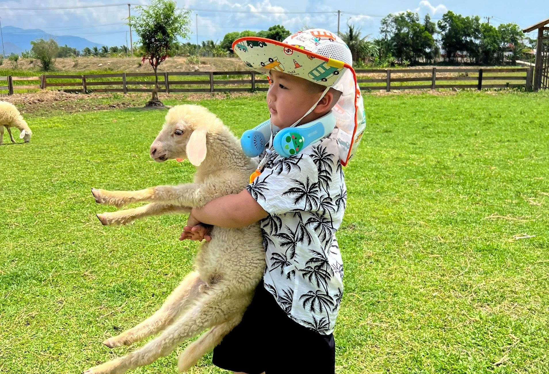 Day Tour | Ninh Thuan Day Tour (Hang Rai – Vinh Hy – Sheep Field – Vineyard)