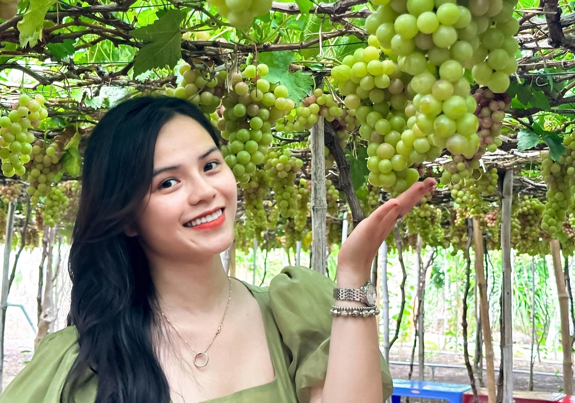 Day Tour | Ninh Thuan Day Tour (Hang Rai – Vinh Hy – Sheep Field – Vineyard)
