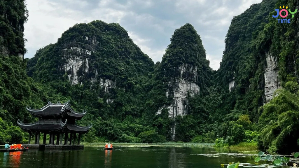 Must-try local cuisine near your hotel