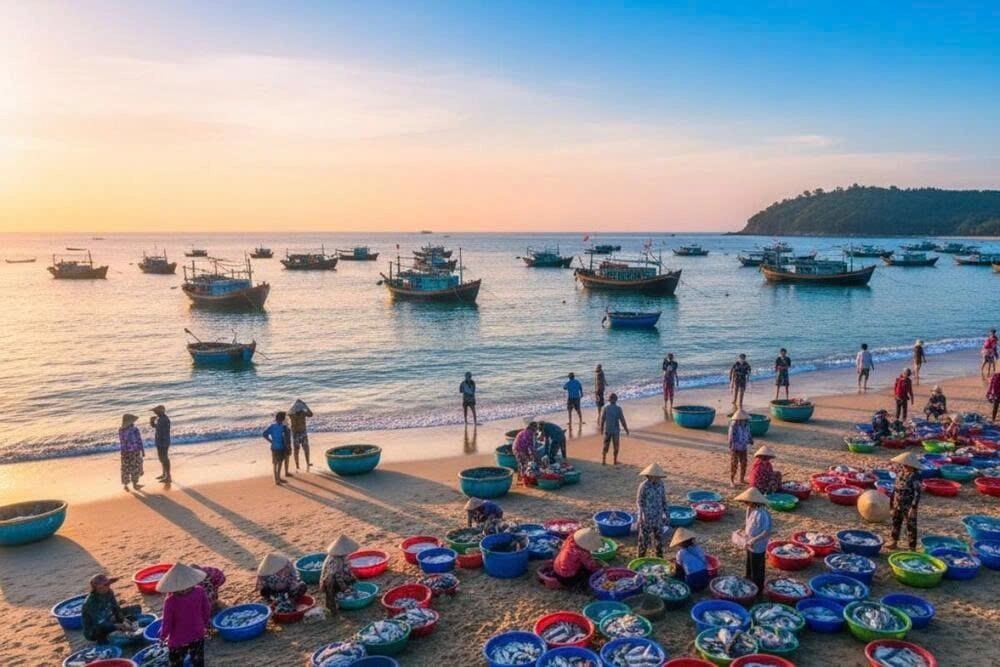 私人汽车服务 探索 Mui Ne (出发地点：Nha Trang)