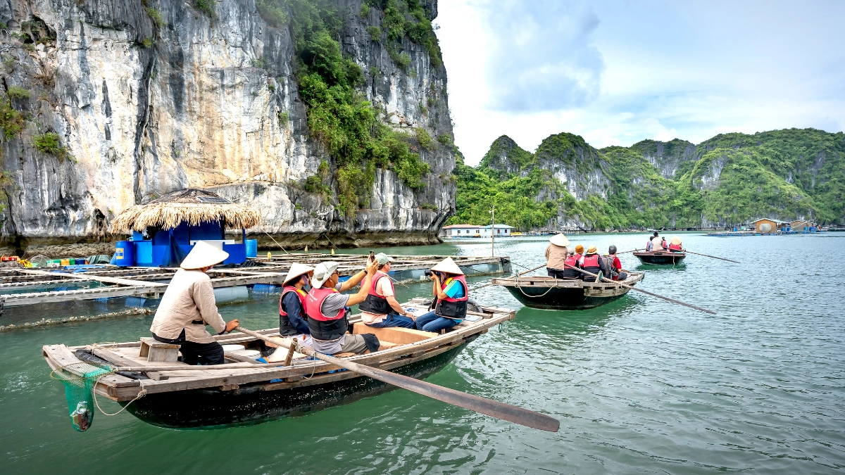 Best Option for Tourists