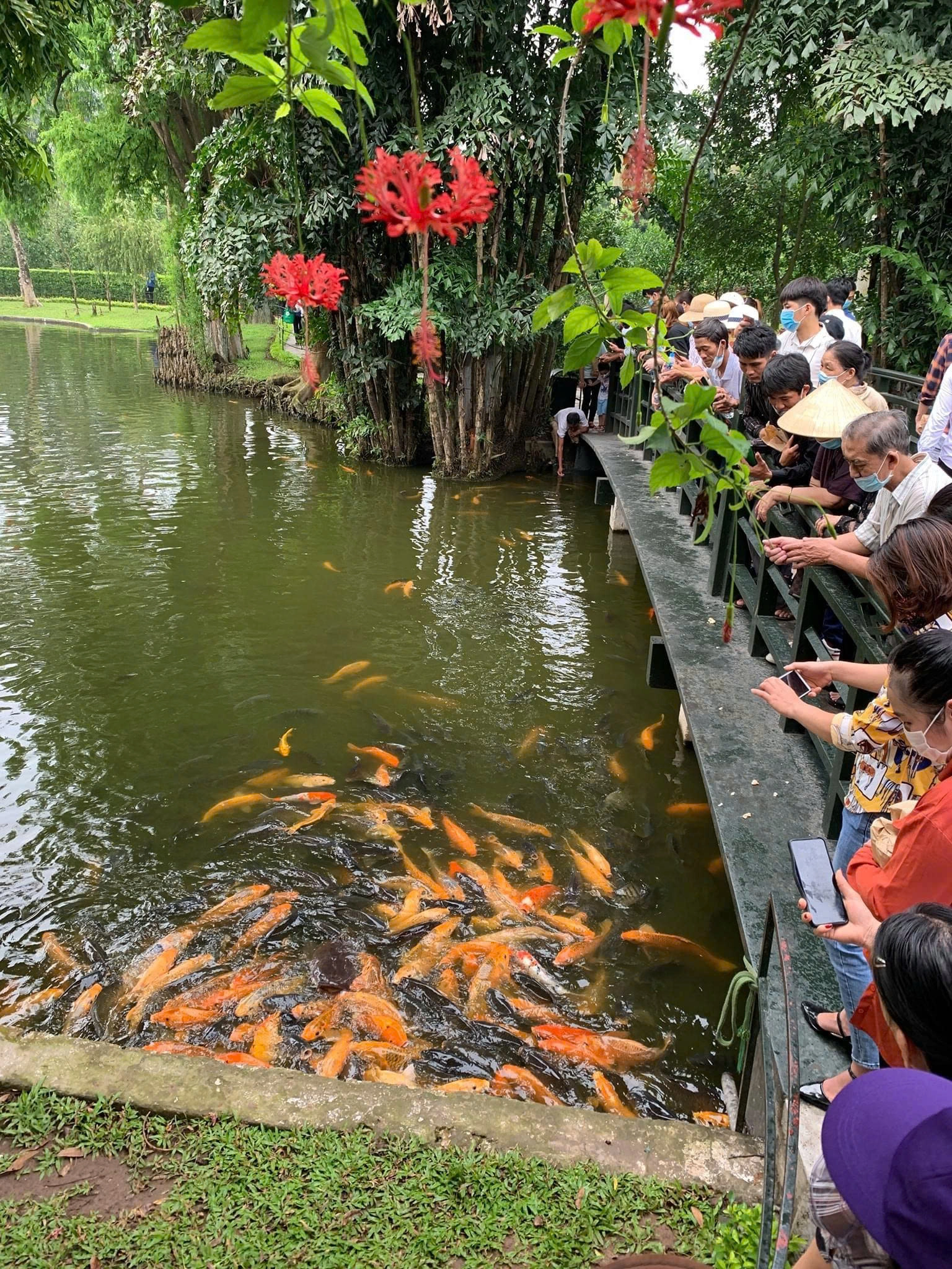 Day tour | Hanoi's Cultural Heritage and Classic Tradition Discovery Half day Tour (Ho Chi Minh Mausoleum and Temple of Literature)