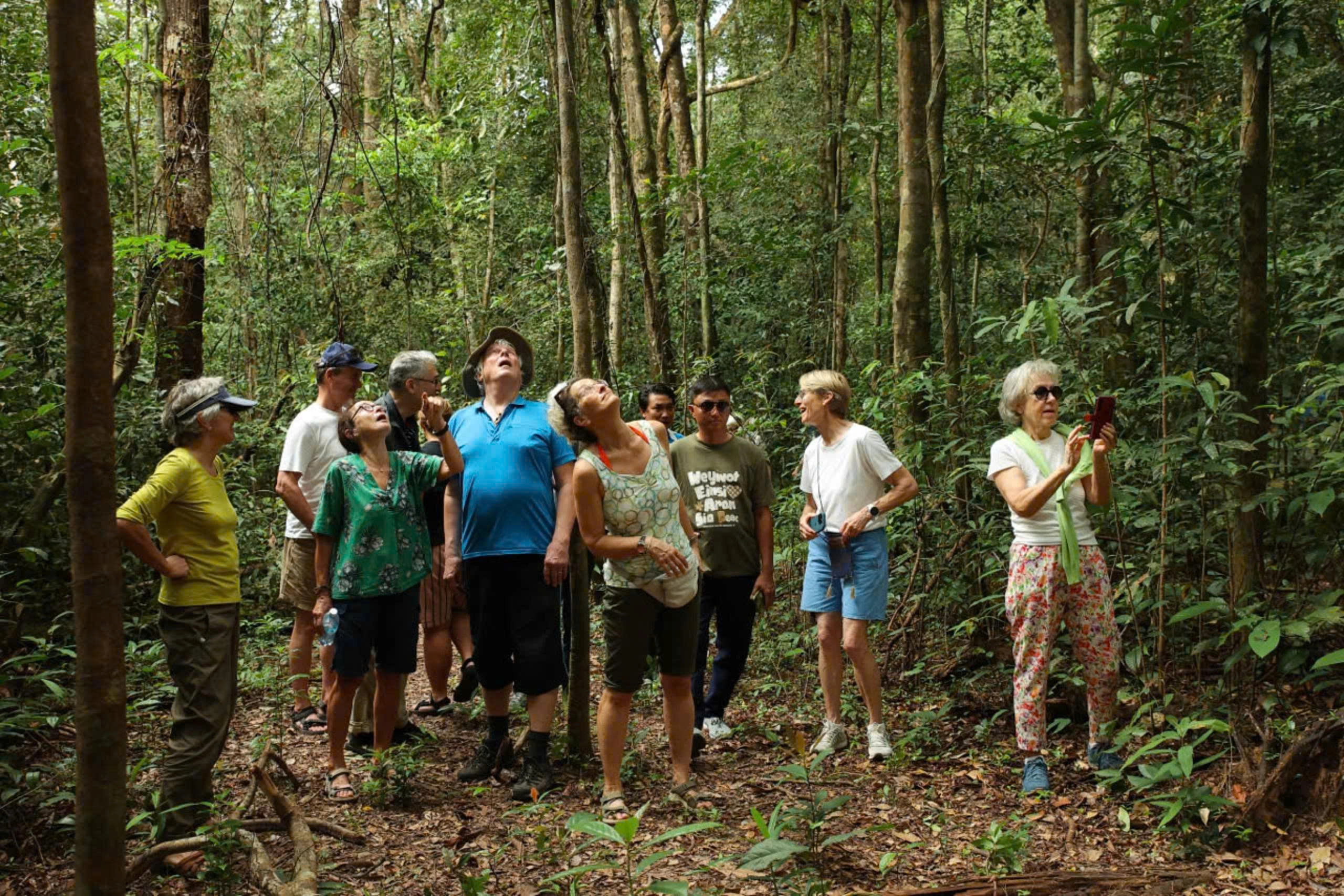 一日游 | NORTH PHU QUOC JEEP TOUR – 探索绿色森林与当地文化