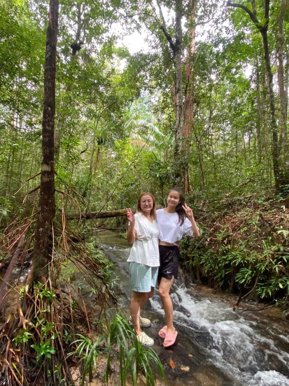 一日游 | NORTH PHU QUOC JEEP TOUR – 探索绿色森林与当地文化