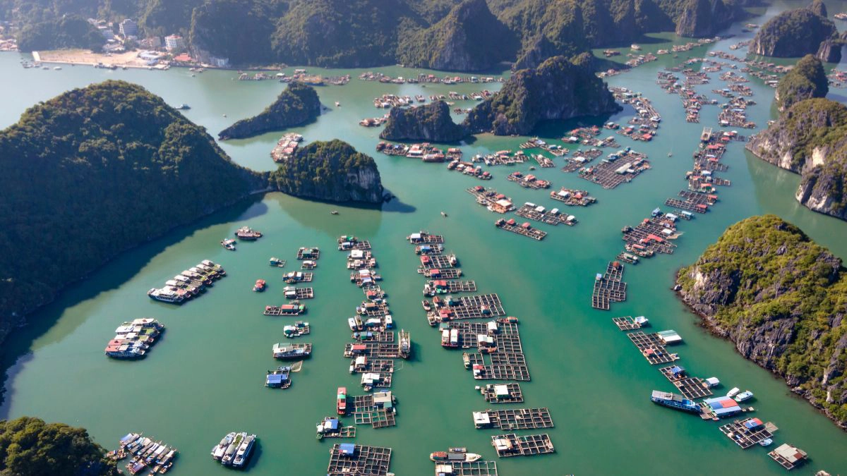 Tour Hai Phong Cat Ba for the Best Island Escape in 2026