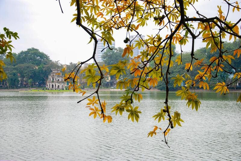 Best Month to Travel Vietnam for a Perfect Trip