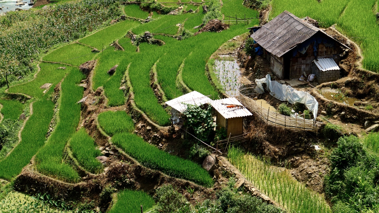 Best Sapa tours & sightseeing experiences: From high-peaks to hidden valleys