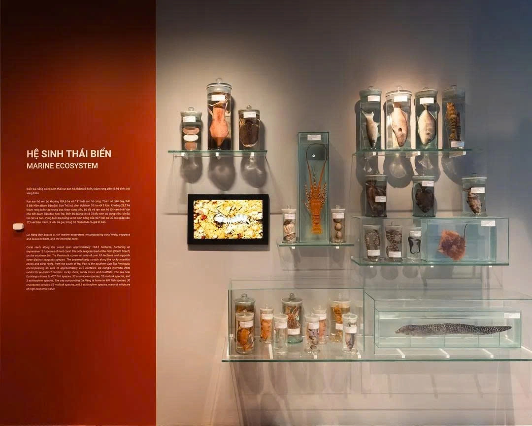 Da Nang Museum | Danang 