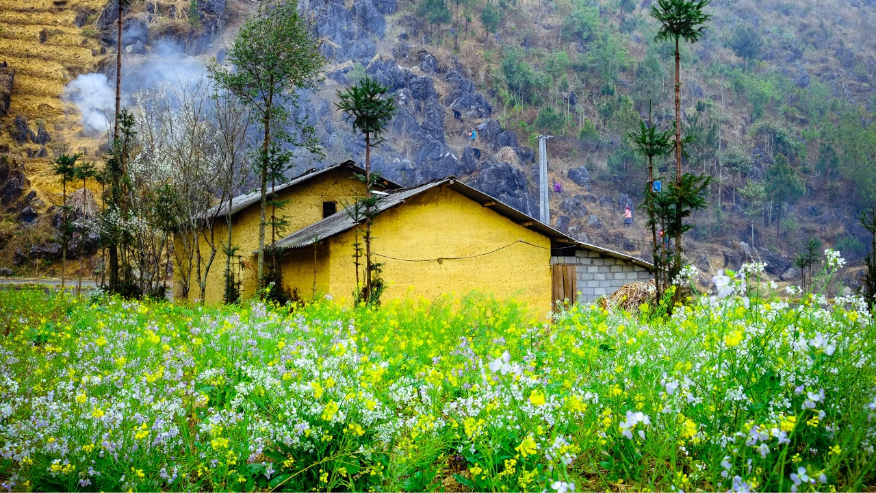 Explore our Ha Giang tour collection