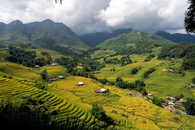 Meaningful experiences that add depth to a Sapa trip