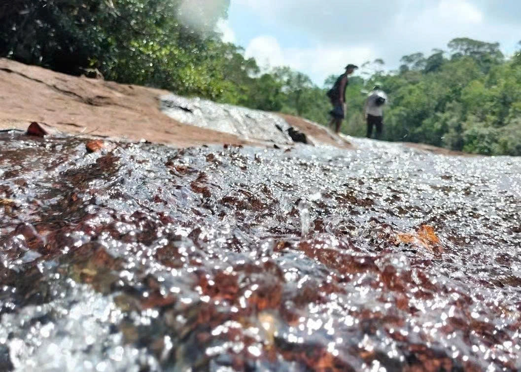 Day tour | Suoi Tien Trekking adventure – Explore the green heart of Phu Quoc 