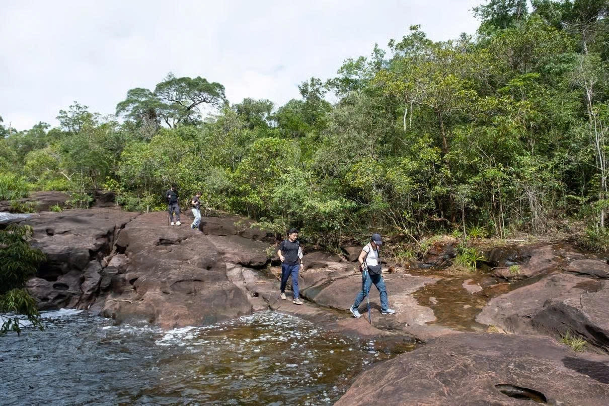 Day tour | Suoi Tien Trekking adventure – Explore the green heart of Phu Quoc 