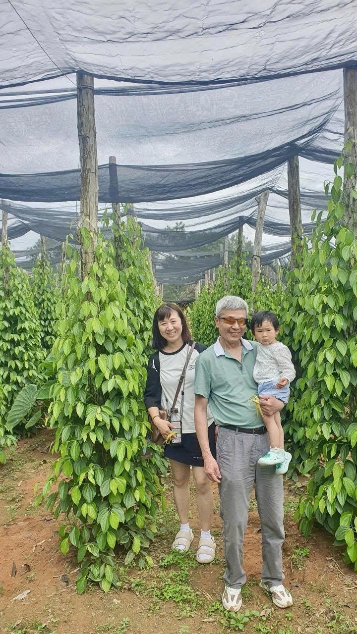Day tour | North Phu Quoc Discovering Tour