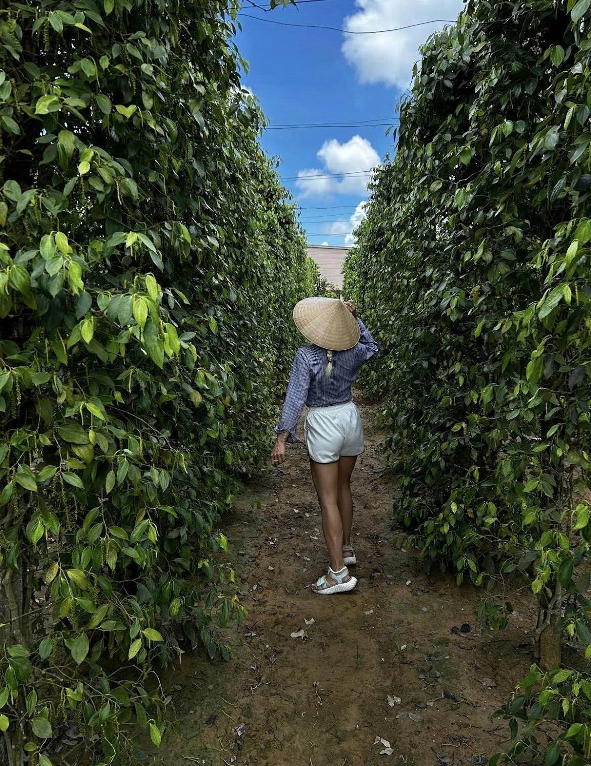 Day tour | North Phu Quoc Discovering Tour