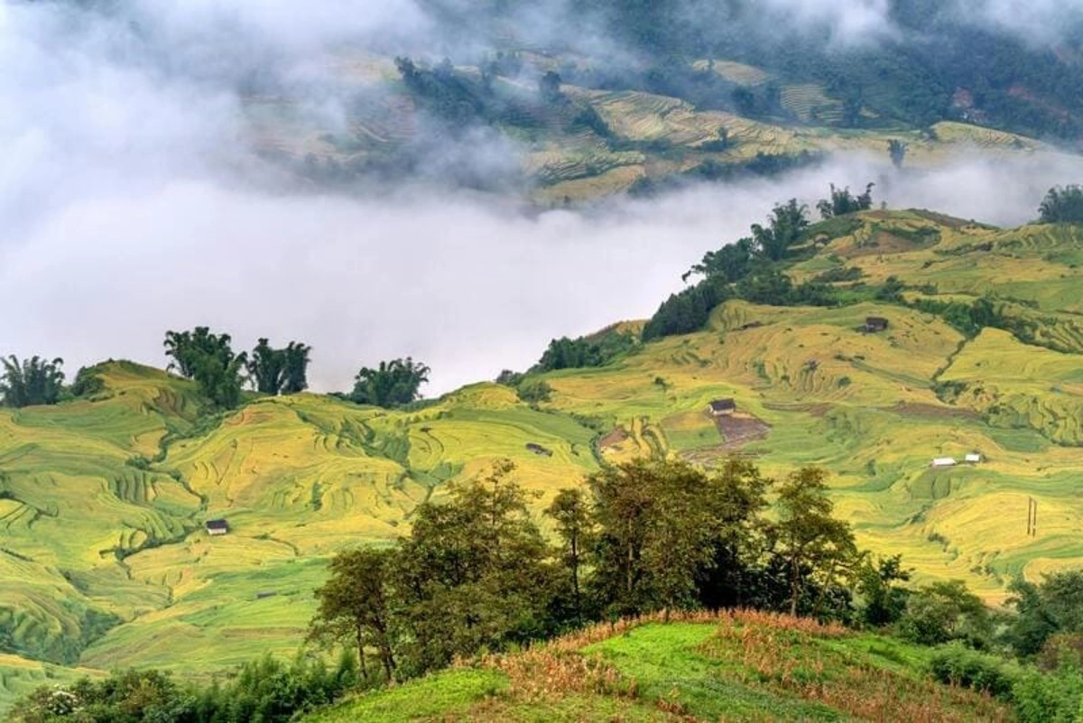 Vietnam Travel Sapa: Ultimate Guide to Attractions, Food & Travel Tips