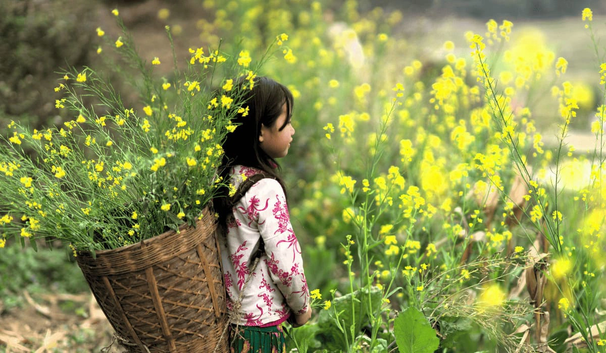 Private Tour Ha Giang Loop: Explore the Mountains Your Way