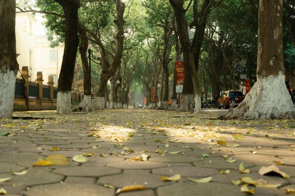 Pros and Cons of Traveling to Vietnam in October