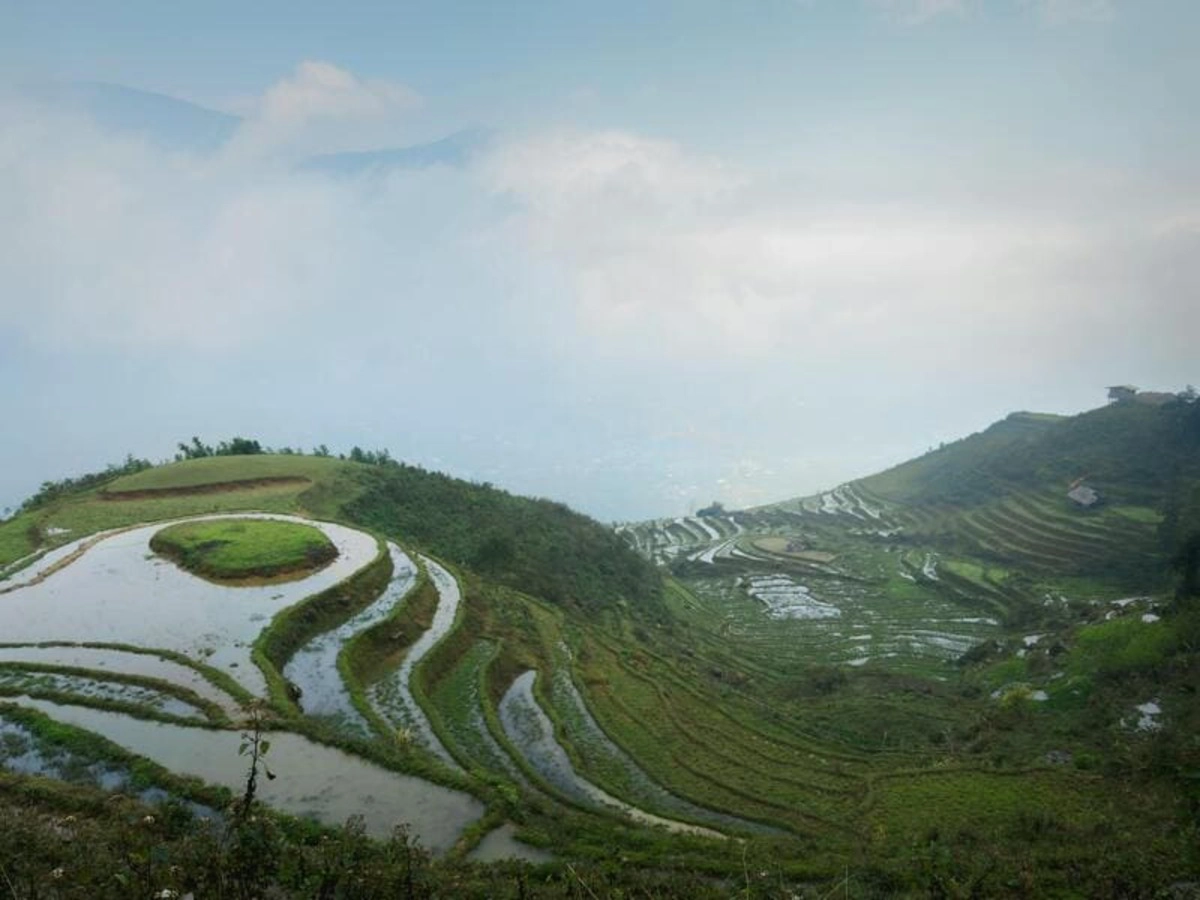 Sapa