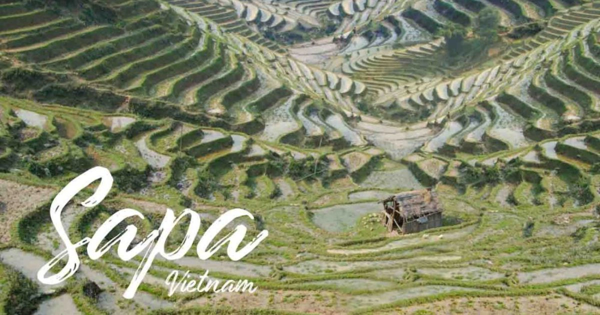 Trekking Tour in Sapa: Best Routes, Homestays & Travel Tips