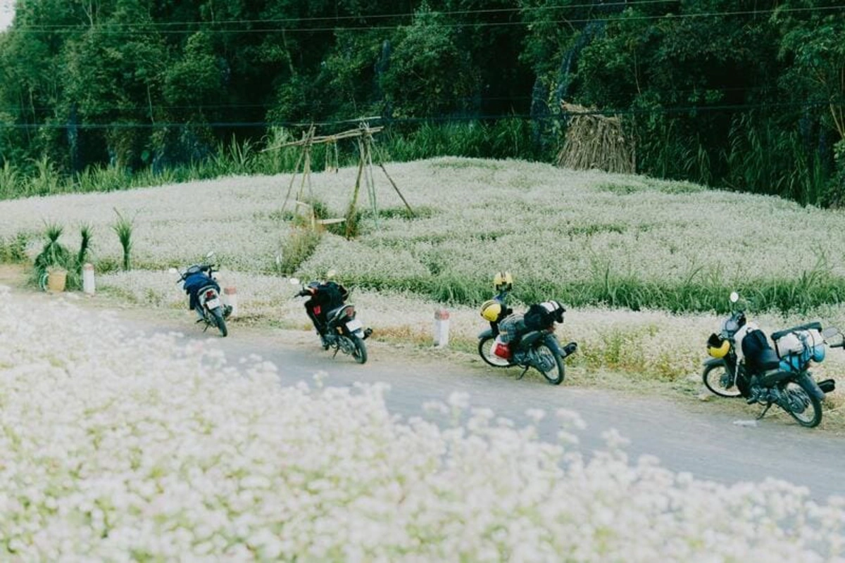 Essential Riding Gear and Protective Equipment