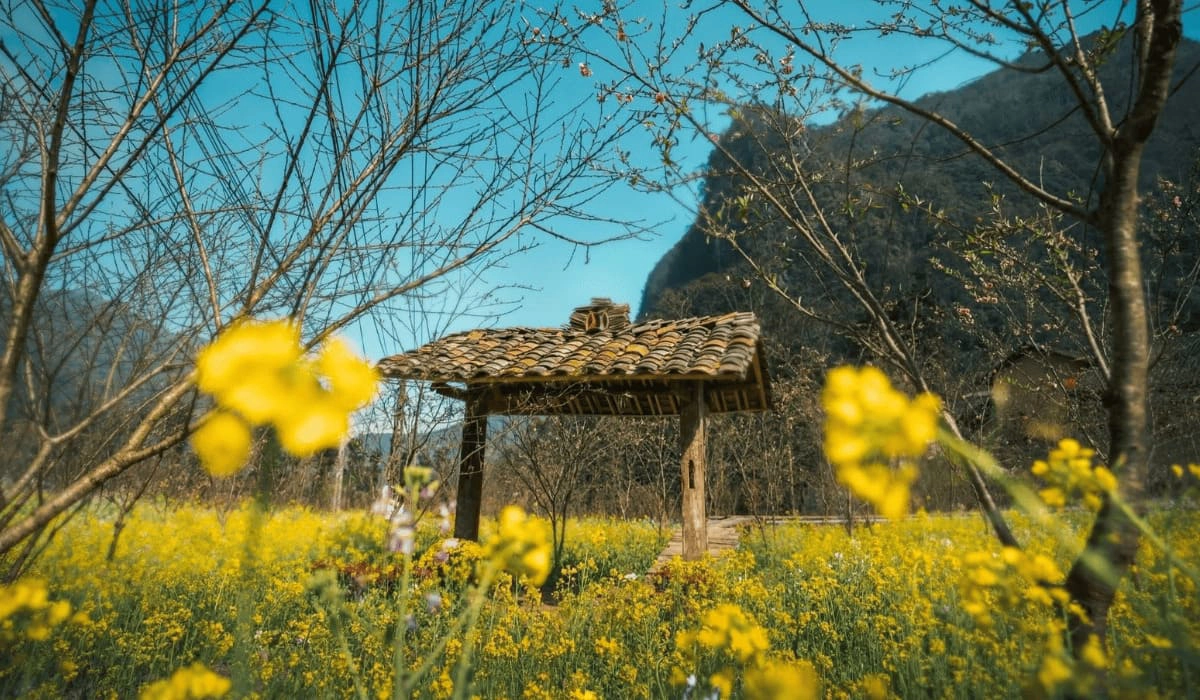 Ha Giang travel guide for first-time visitors
