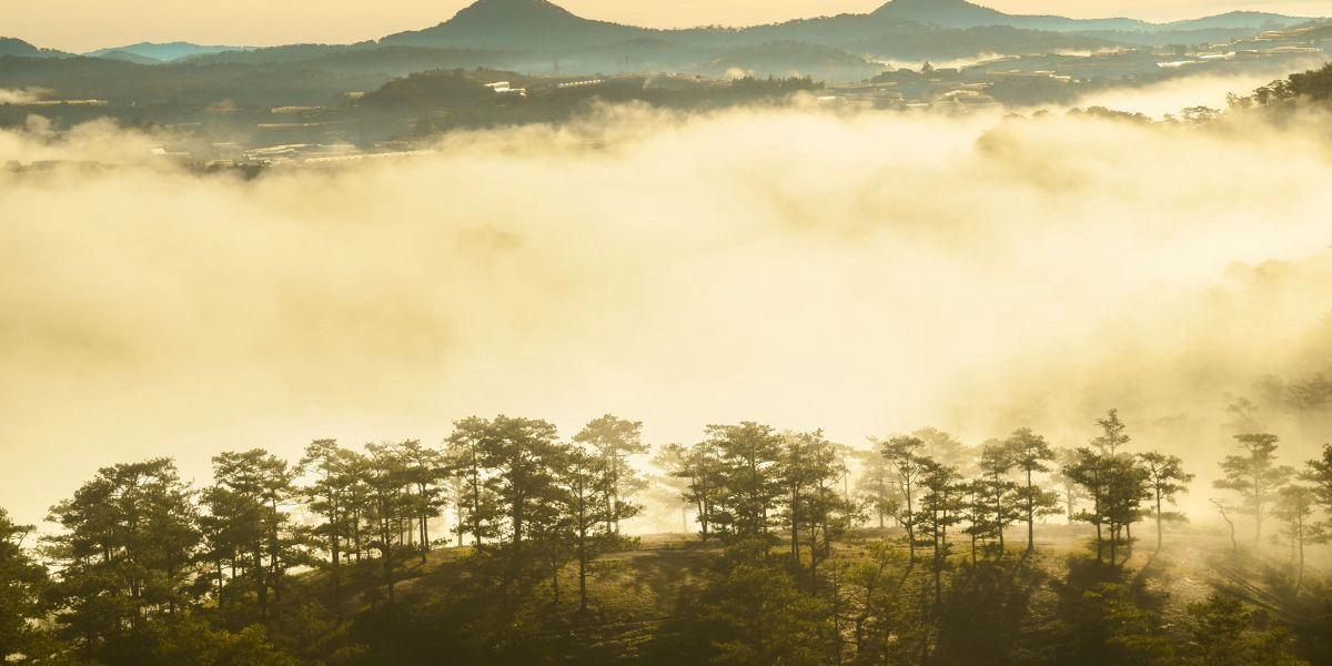 How is Dalat luxury travel different from a regular trip to Dalat?