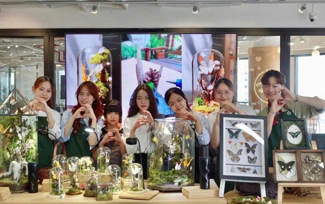 Artful Hanoi: Museum &Terrarium Workshop