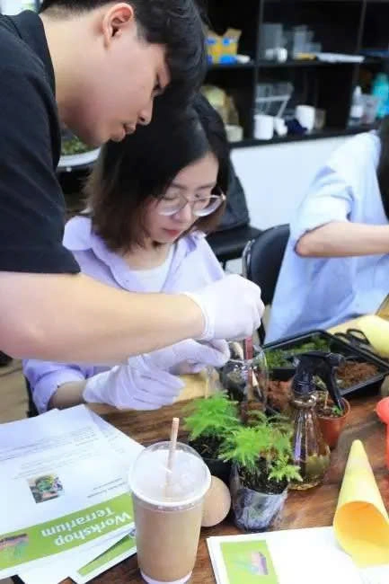 Artful Hanoi: Museum &Terrarium Workshop