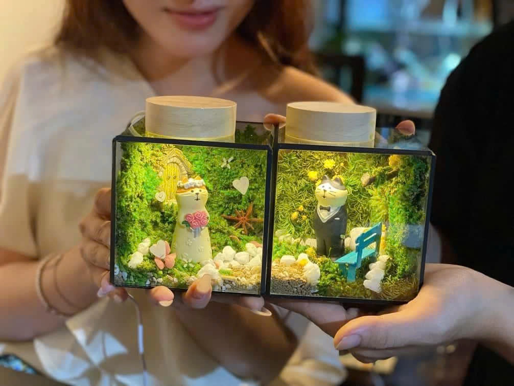 Artful Hanoi: Museum &Terrarium Workshop