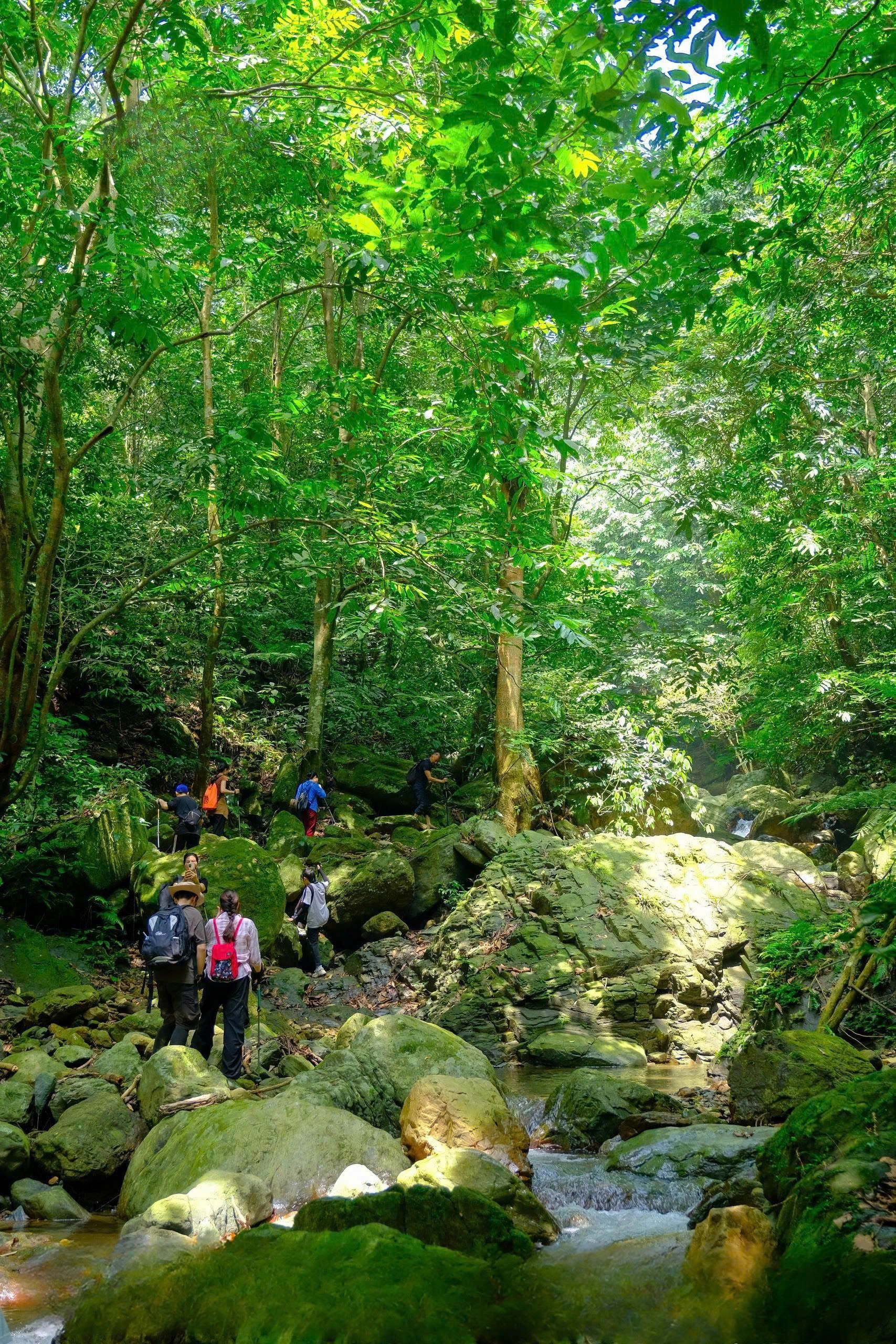 Day tour | Ba Vi National Park Hiking Tour 