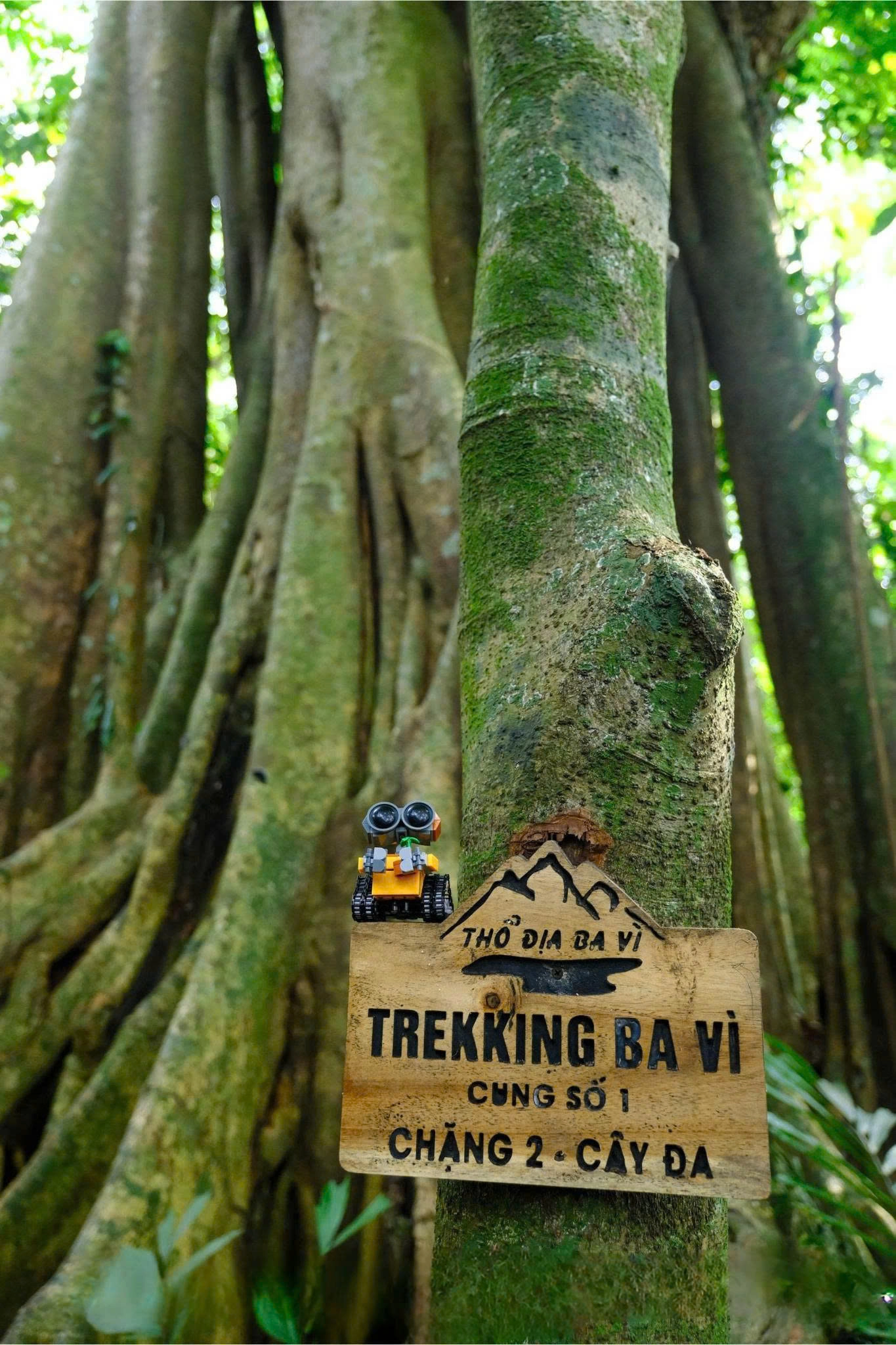 Day tour | Ba Vi National Park Hiking Tour 