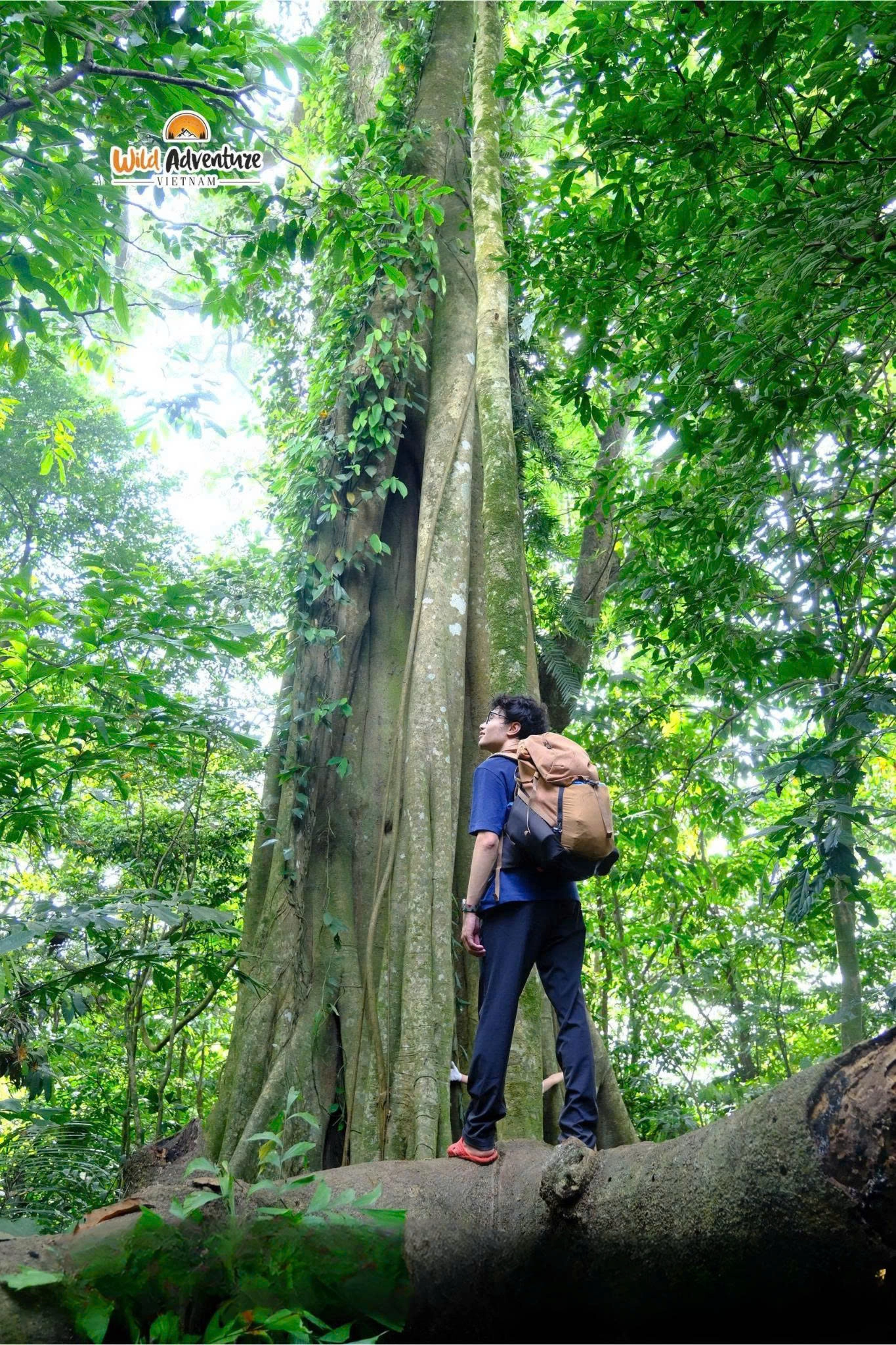 Day tour | Ba Vi National Park Hiking Tour 