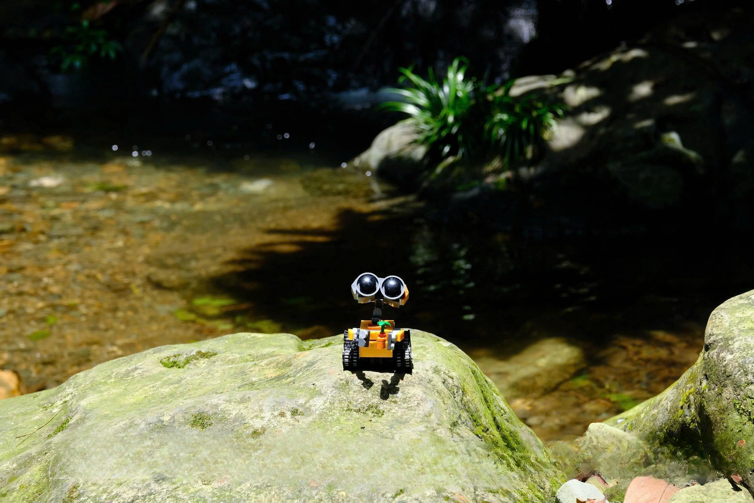 Day tour | Ba Vi National Park Hiking Tour 