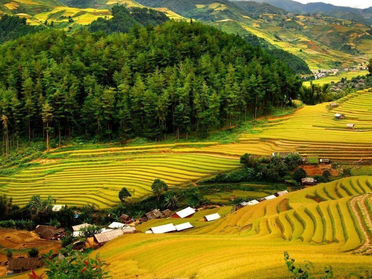 Pu Luong Half-Day with Rice Fields, Ethnic Weaving, & Biking