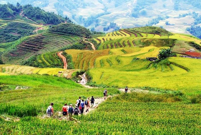 Pu Luong Half-Day with Rice Fields, Ethnic Weaving, & Biking