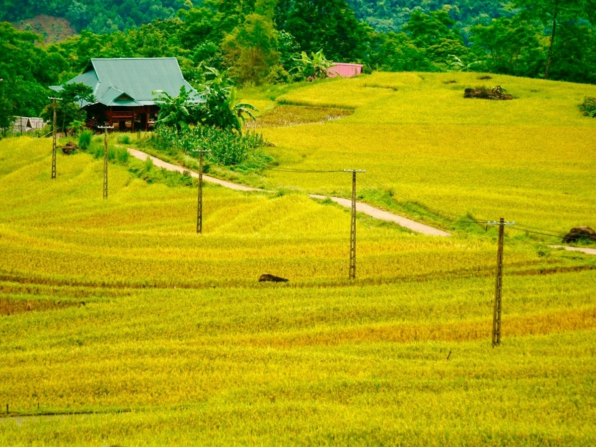 Pu Luong Morning Village Walk Tour