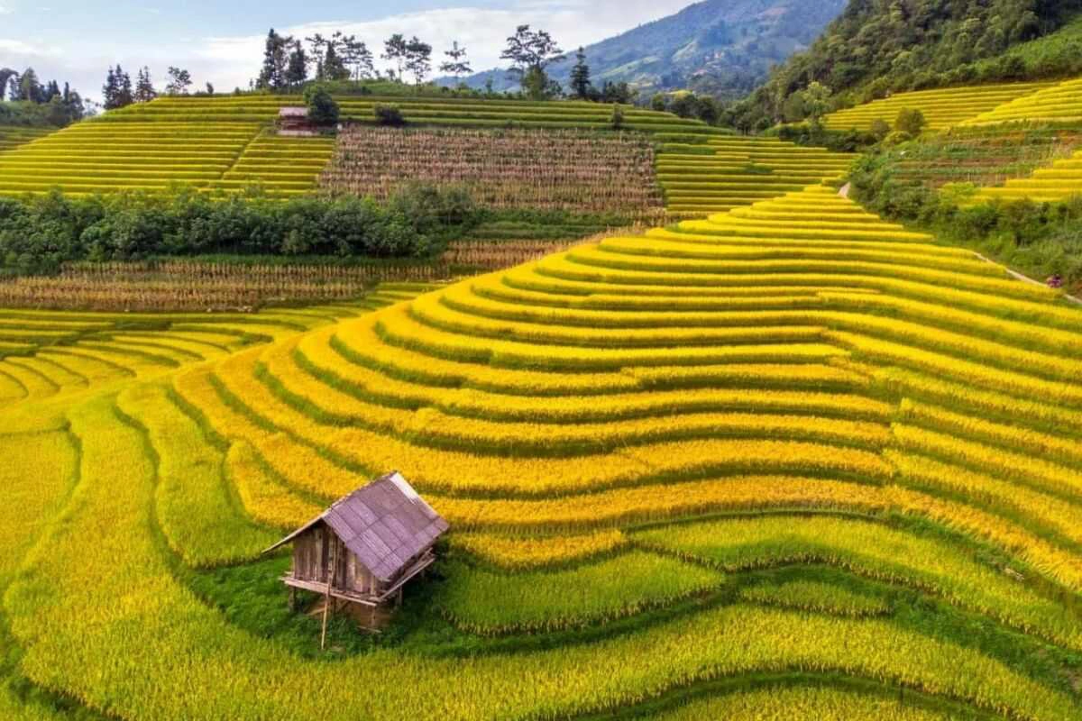 Essential Travel Tips for Visiting Vietnam in July