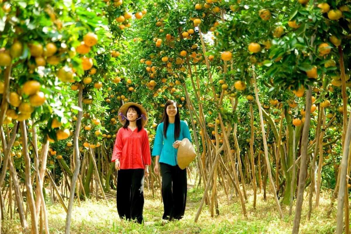 Mekong Delta – Fruit Season Adventure