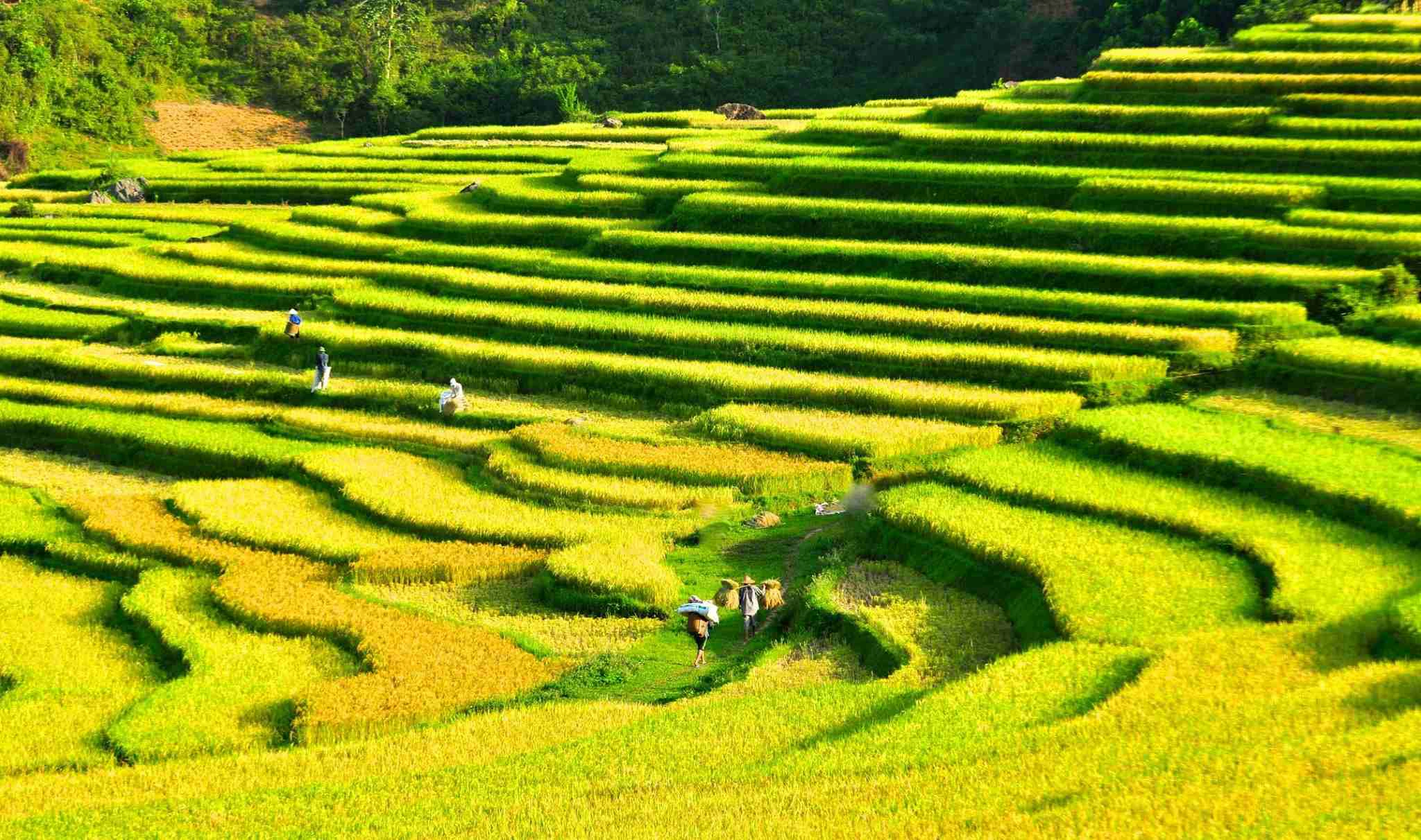 OFF ROAD TREKKING/ BIKING | A Full Day Tour Through Hidden Trails & Waterfalls