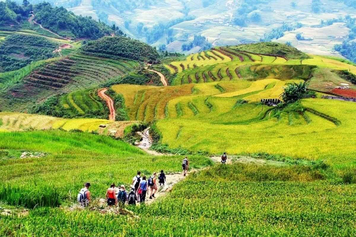 Best Time to Visit Vietnam July: Top Destinations, Weather & Travel Guide