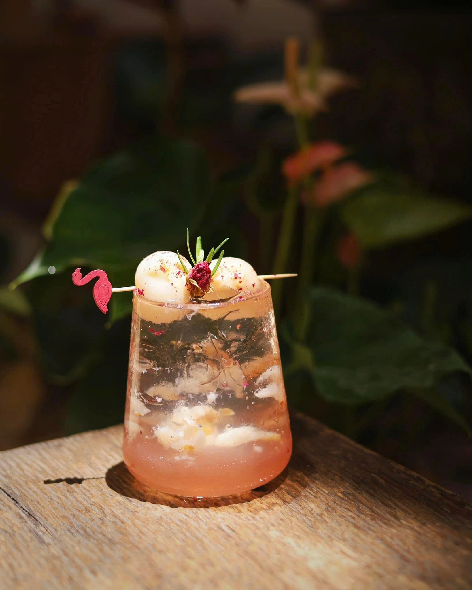 Cafe Instagram Tour in Nha Trang