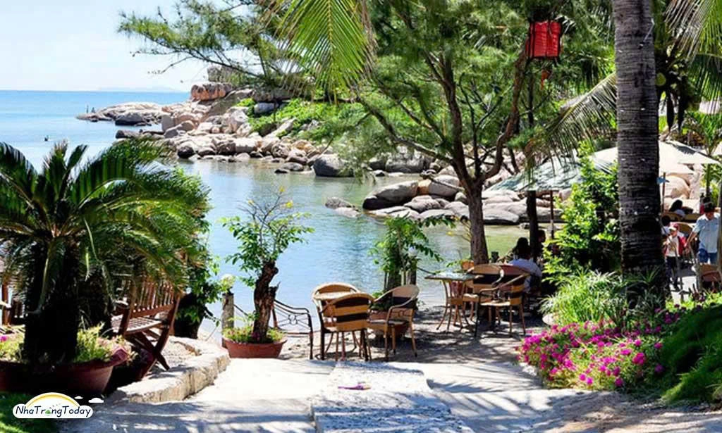 Cafe Instagram Tour in Nha Trang