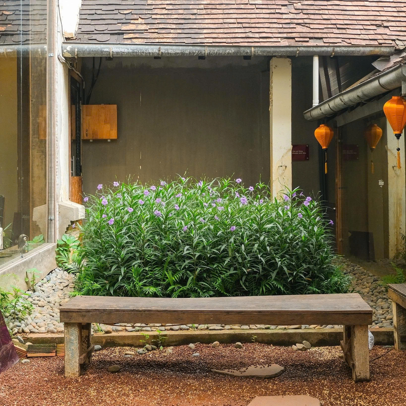 Half day Instagram Cafe tour in Ho Chi Minh 