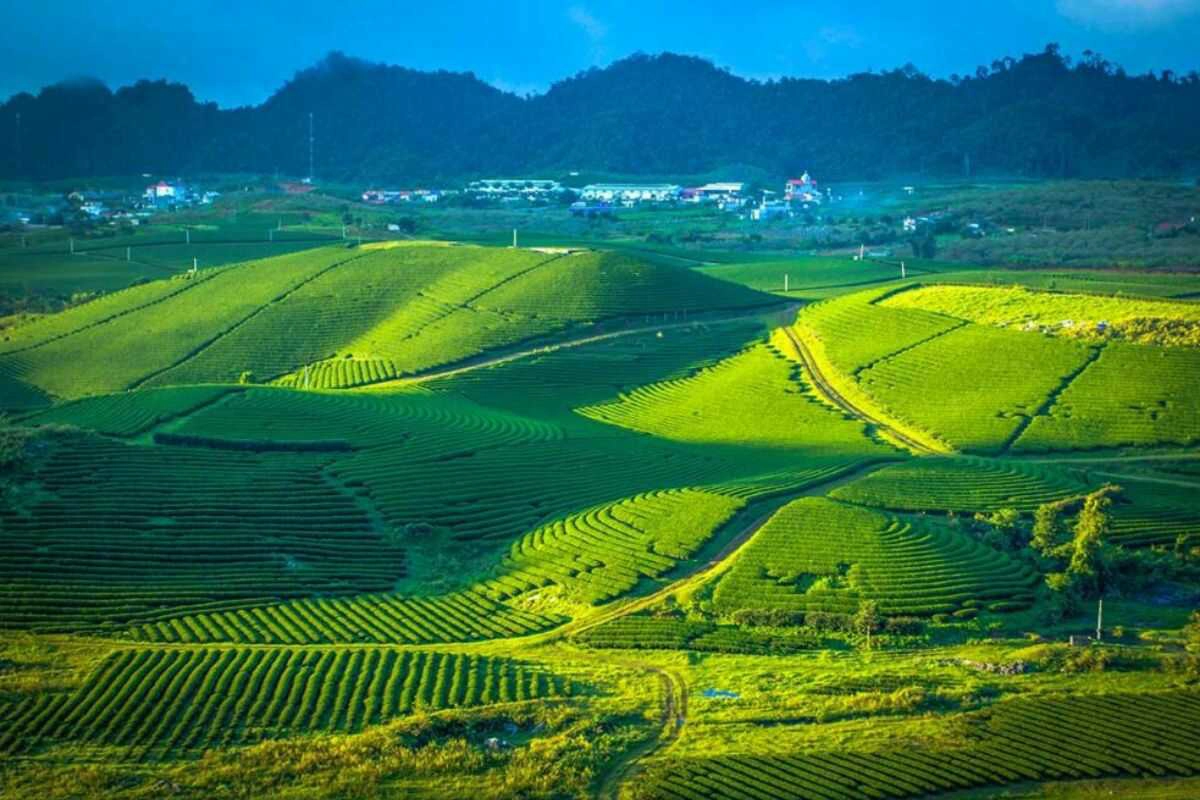 Northern Vietnam Weather in November (Hanoi, Ha Giang, Moc Chau)