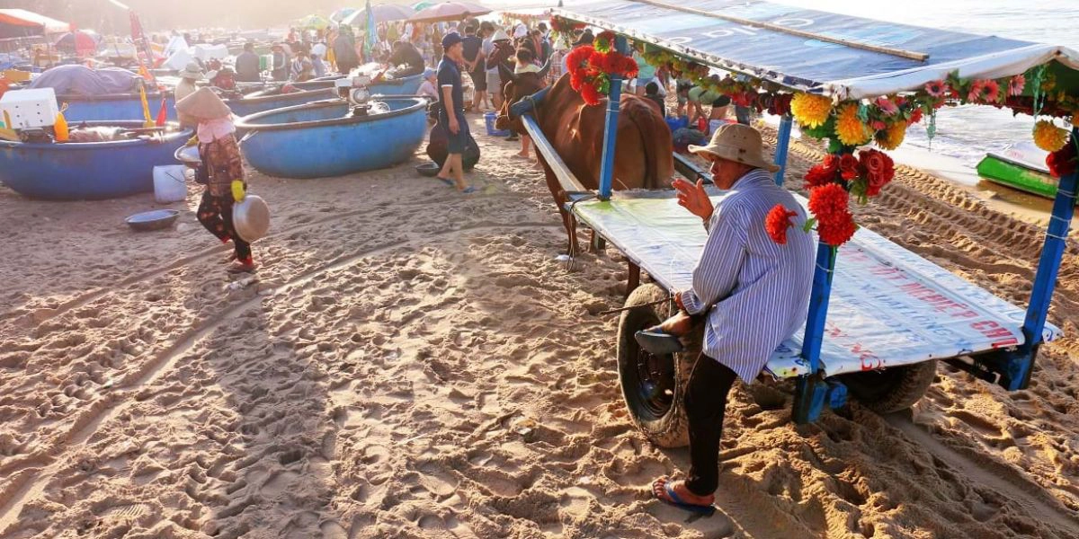 Explore La Gi’s seaside seafood market