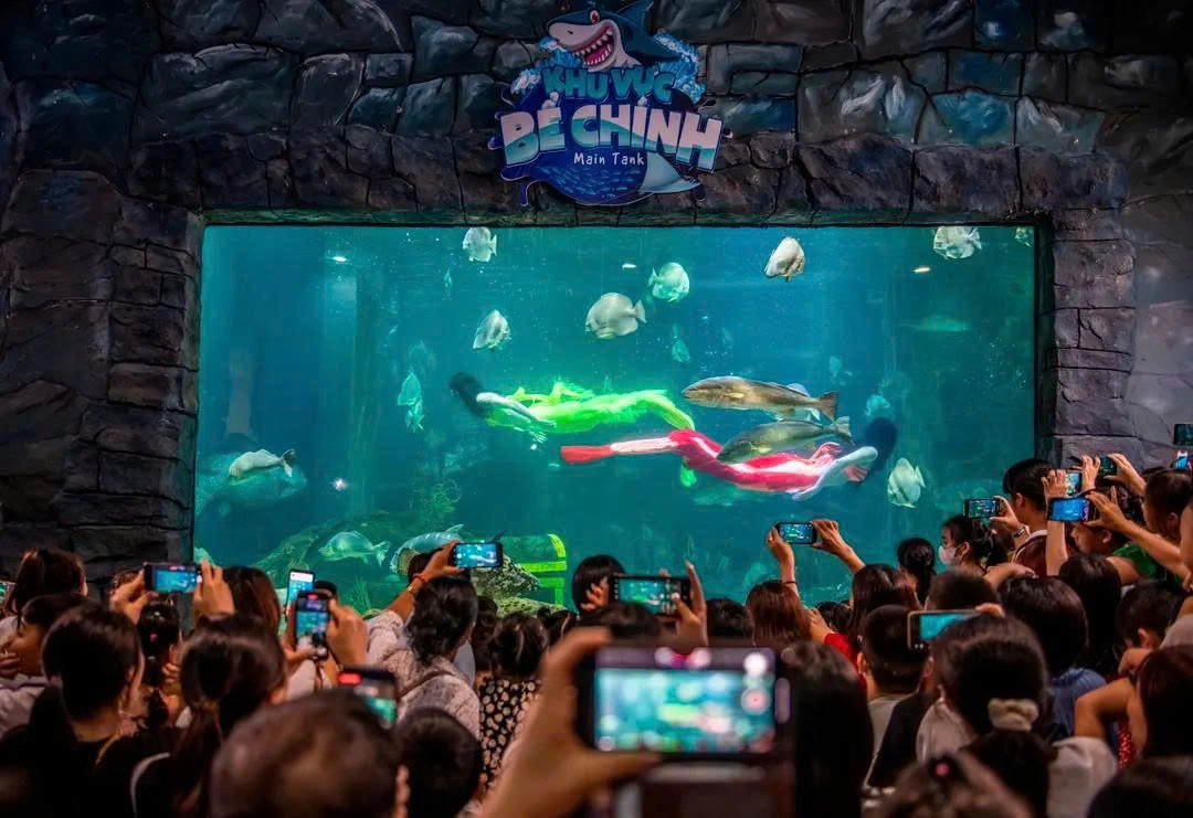 Entrance ticket to VinKe & Times City Aquarium | Hanoi.