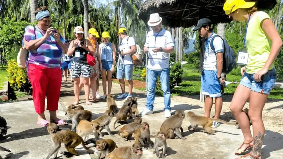 Orchid Island & Monkey Island Admission Ticket | Nha Trang