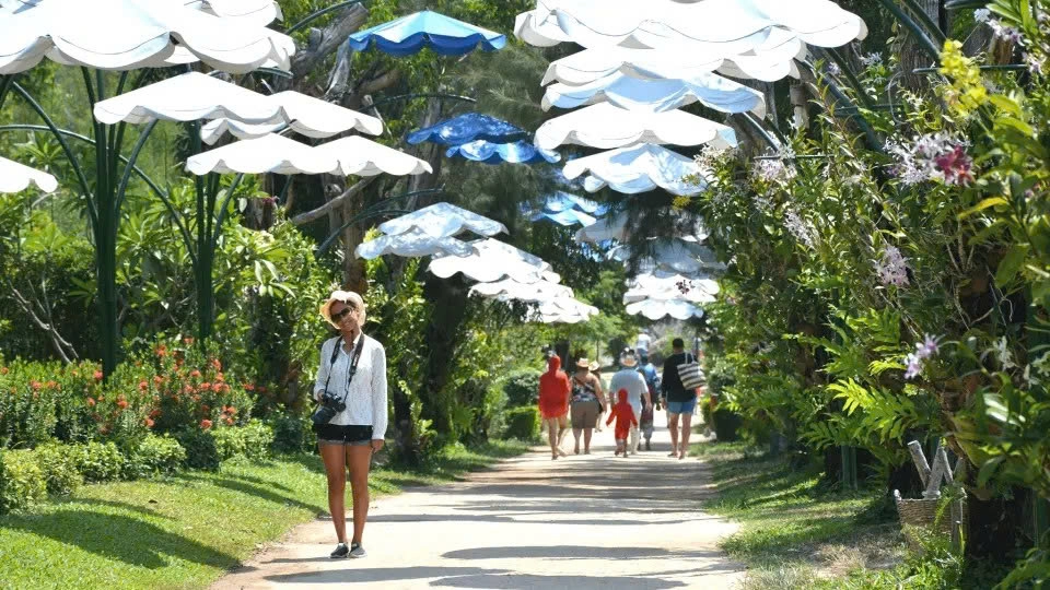 Orchid Island & Monkey Island Admission Ticket | Nha Trang